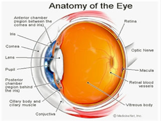 Glaucoma