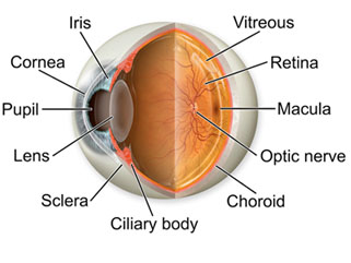 uveitis